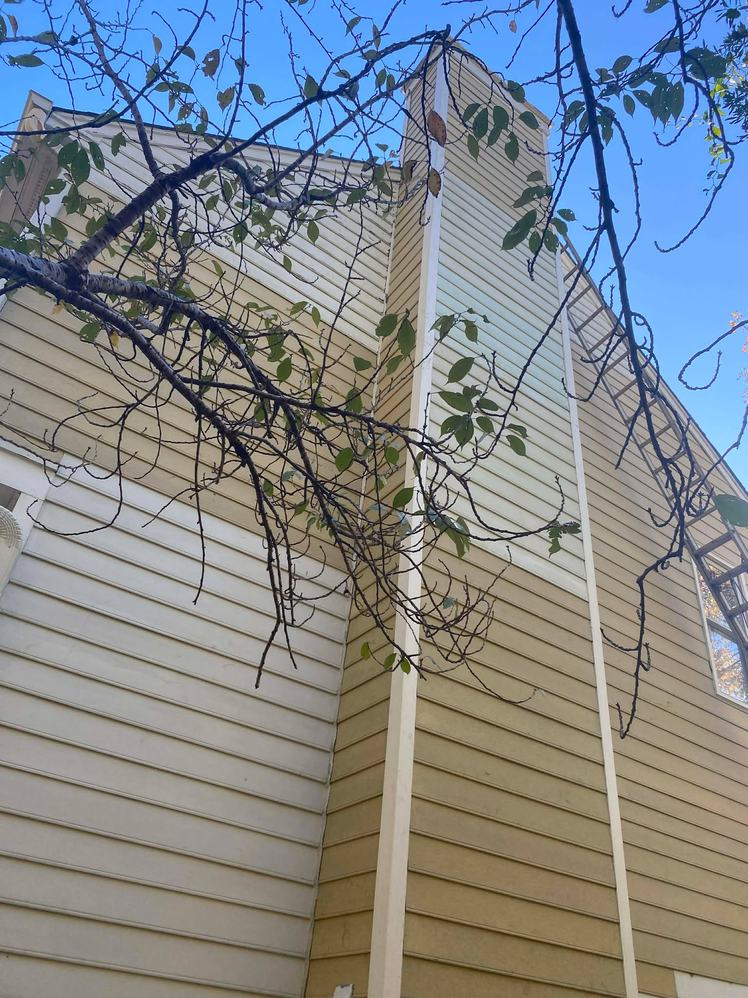 589351788_1883092599248467_4734774794046338233_n