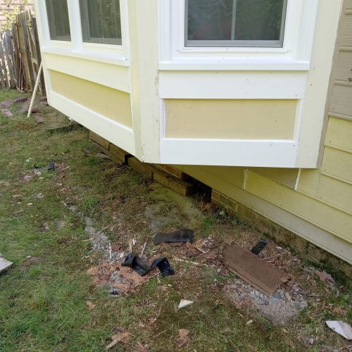 501790602_732603065945252_9050892803609949313_n