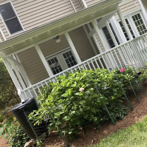 507996476_743032301568995_4969781978063843836_n