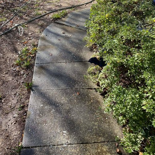 589017991_1661476435226282_3221854729308243650_n