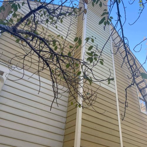 589351788_1883092599248467_4734774794046338233_n